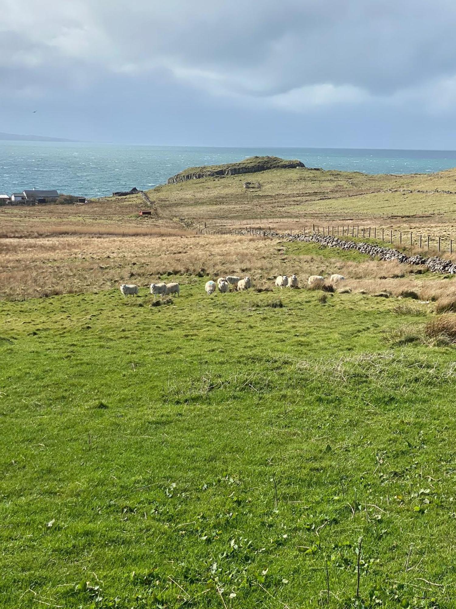 Cnoc Ruaraidh Cottage Kilmuir  Eksteriør bilde